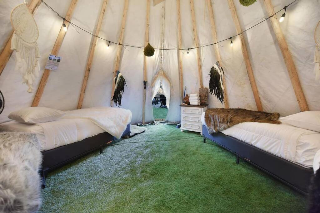 Enchanted Forest Cabin And Teepee! Lights & Laser Show! Private Hot Tub! Unique Stay! Sevierville Exterior foto
